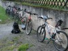 Bikes