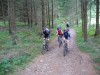 Waldtrails