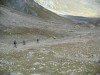 Trail