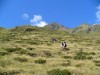 Downhill