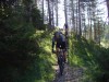 Waldwege