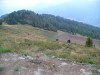Fertazza