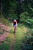 Trails