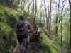 Trails
