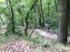 Feine Trails