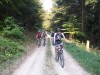 Gegen Ende