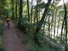 Siebengebirge