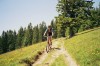 Feldberg