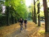 Allee