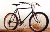 Stumpjumper